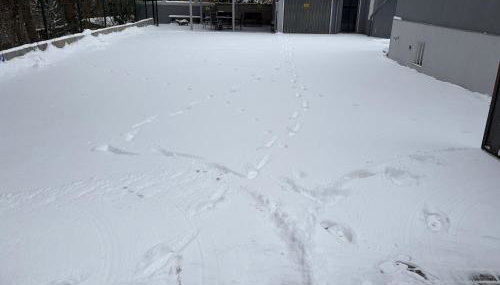 FeWo Landleben in Ferch - Foto 2