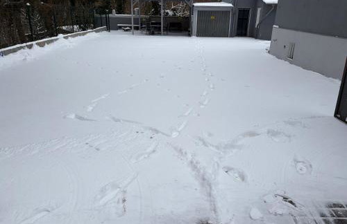 FeWo Landleben in Ferch - Foto 2