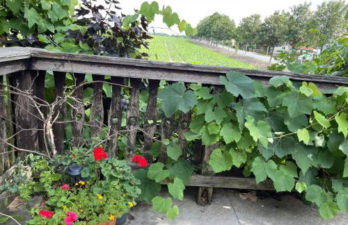 Ferienwohnung mit Sonnenterrasse, Monteursunterkunft, Gästewohnung - Foto 19