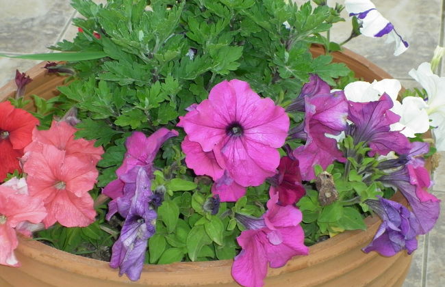 Helen's family home - Photo 42