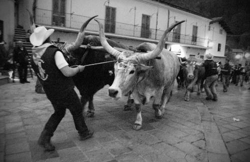 Tana Libera Tutti 3 Nature, Yourself, Love - Foto 51