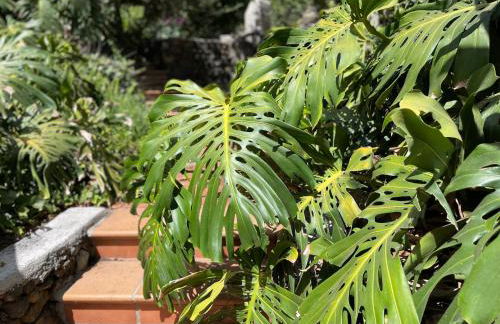 Casa Adassa - Foto 25