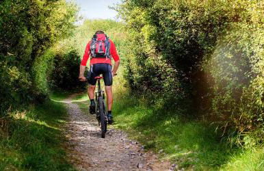 Ferienhaus mit Whirlpool und Sauna - Foto 17