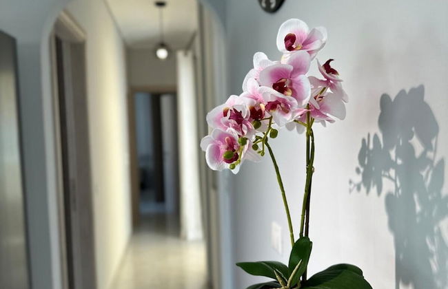 Redamancy -- Peri009 - Foto 9