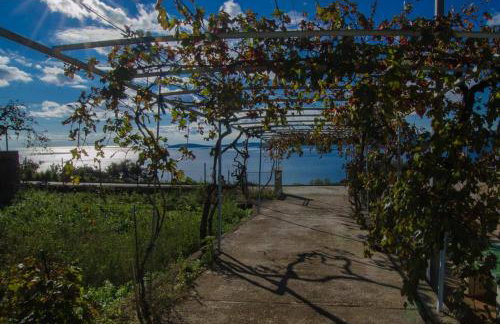 Holiday Home Biserka - Photo 11