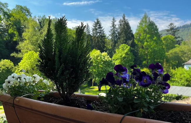 PARK VILLA zentral am Mittelrhein - Foto 61