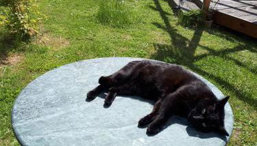 ehemaliges Gutsverwalterhaus - Foto 3