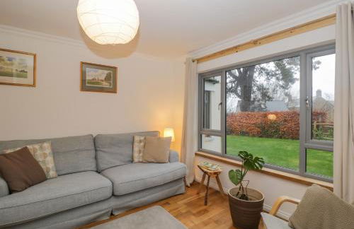 Little Foxes - Photo 6