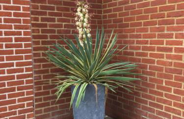 Charming 1-Bedroom Apartment near South Downs - Foto 14