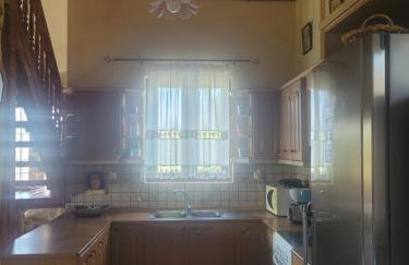 Ancient Greek Villa - Foto 69