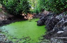 Arca dos Animais - Farming & SPA - Foto 58