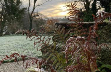 Blaise Cottage Cornwall - Foto 36