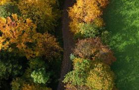 Domek Cichy Zakątek Beskid Niski - Foto 58