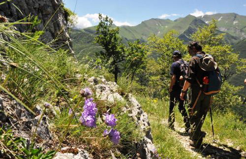 Agriturismo Le Castellare - Foto 23