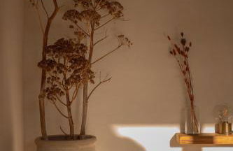 IUTA Glamping & Farm - Foto 98