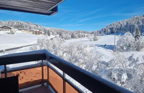 Studio tout confort - Foto 1