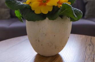 Ferienwohnung Nachtweide - Foto 6