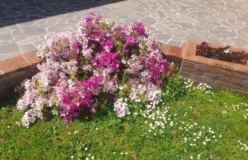 CASA CAMELIA - Foto 27