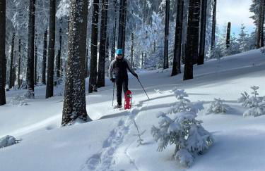 Thüringer Wald-Zauber - Foto 40