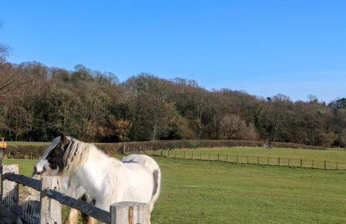 The Cowshed - Foto 24