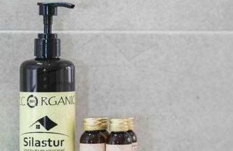 Covadonga Centro - Foto 22