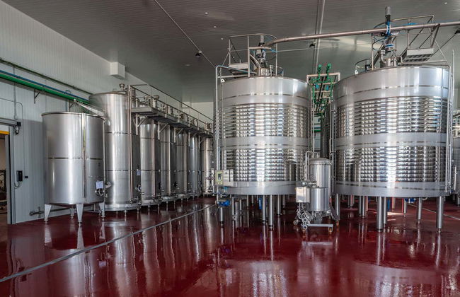 Tour of the Aldonza Gourmet Winery - Foto 6