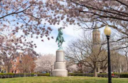 Sojourn's Stanton Park Home Sleeps 4 - Foto 29