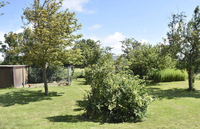 Apartment in Hippolytushoef for 2 Guest - Foto 13