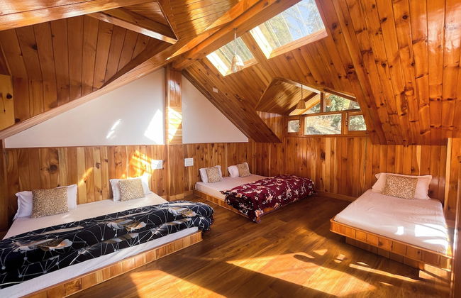 Singing Woods Kutla - Foto 5