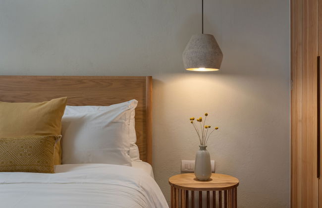 Le Cottage San Miguel de Allende - Foto 16