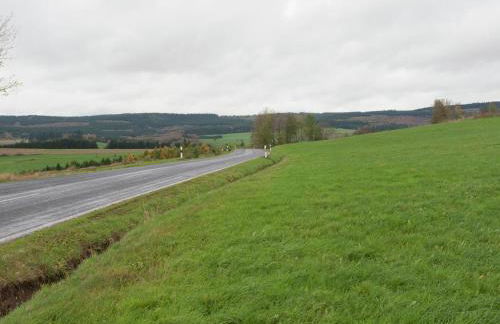 Sellerich Forest Hideaway - Foto 73