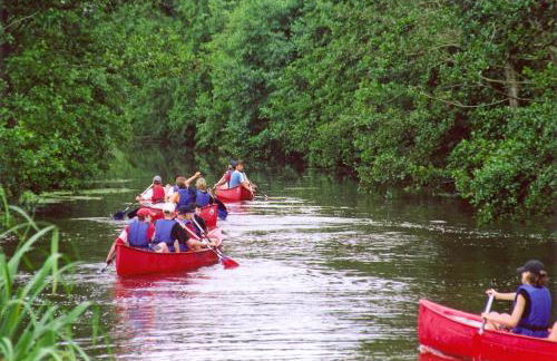 Haus Fischernetz - Foto 54