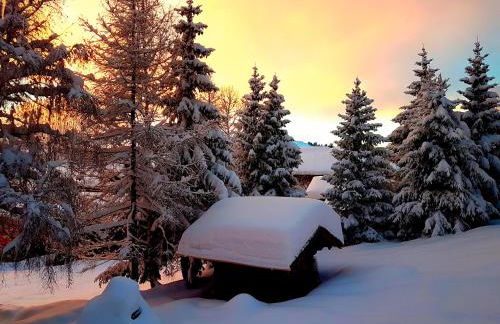 APPARTEMENT COSY AUX SAISIES n1 - Foto 28