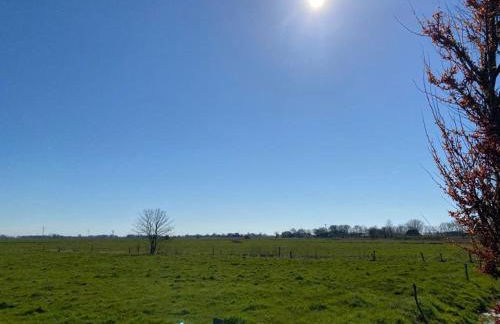 NEU! FeWo am alten Deich mit Balkon - Foto 11