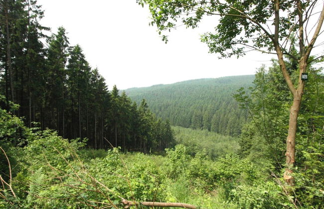 Spacious Stay With Terrace - Photo 34