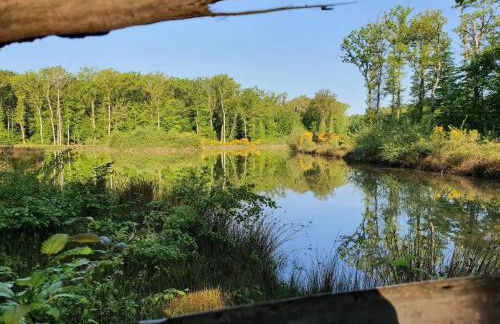 Holiday Home Landhaus mit eingezäuntem Garten by Interhome - Foto 24