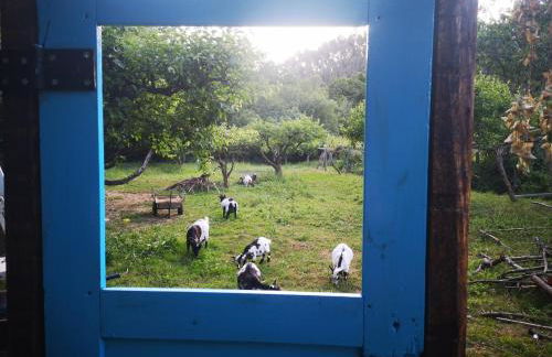 Quinta das Águias - Foto 18