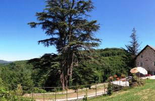 Domaine de Label, Spa, massages - Foto 60