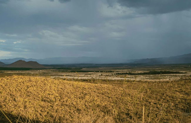 Excursion œnologique au coucher du soleil dans le Cerro Colorado - Photo 9