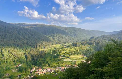 Cocon au cœur des Vosges - Foto 40