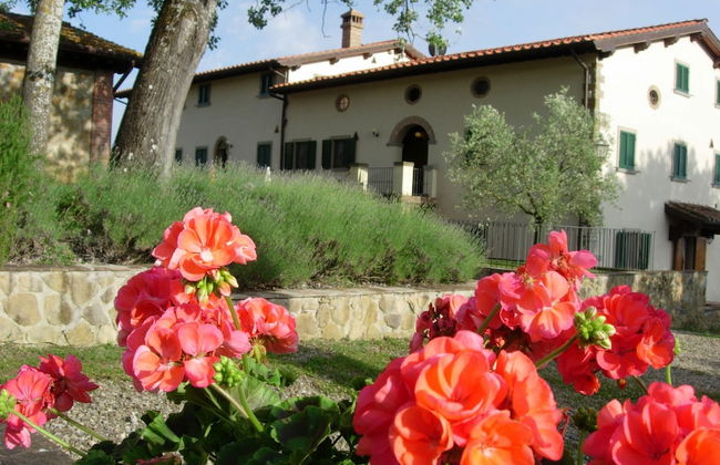 Fattoria di Belvedere - Photo 47