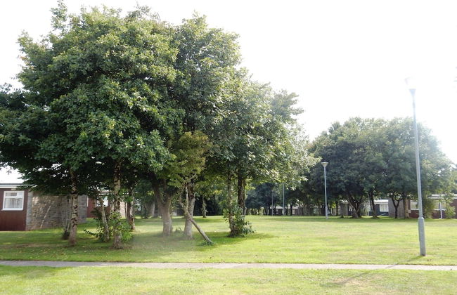 Sheena's Dartmouth Chalets - Foto 53