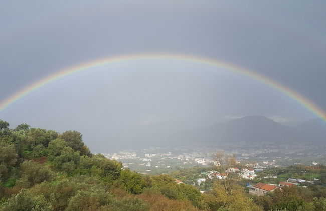 Gli Ulivi Agriturismo - Foto 80