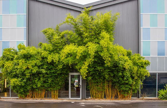 Marion Holiday Park - Foto 80