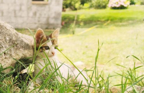 Borgo Santa Lucia - Photo 9