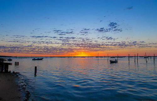Maison l'EscaleTaussat Les Bains - Photo 33