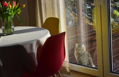 DOMEK CHATKA BUKOWIANKA w Bukowcu koło Karpacza - Foto 19