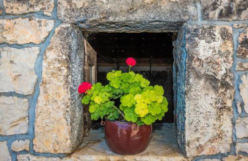 Villa Petrovi Dvori Zadarvillas - Photo 11