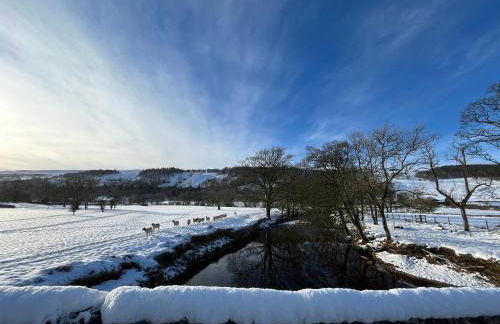 The Snug - Walker's Delight - Foto 24