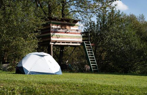 Agroturystyka Ropienka - Foto 22